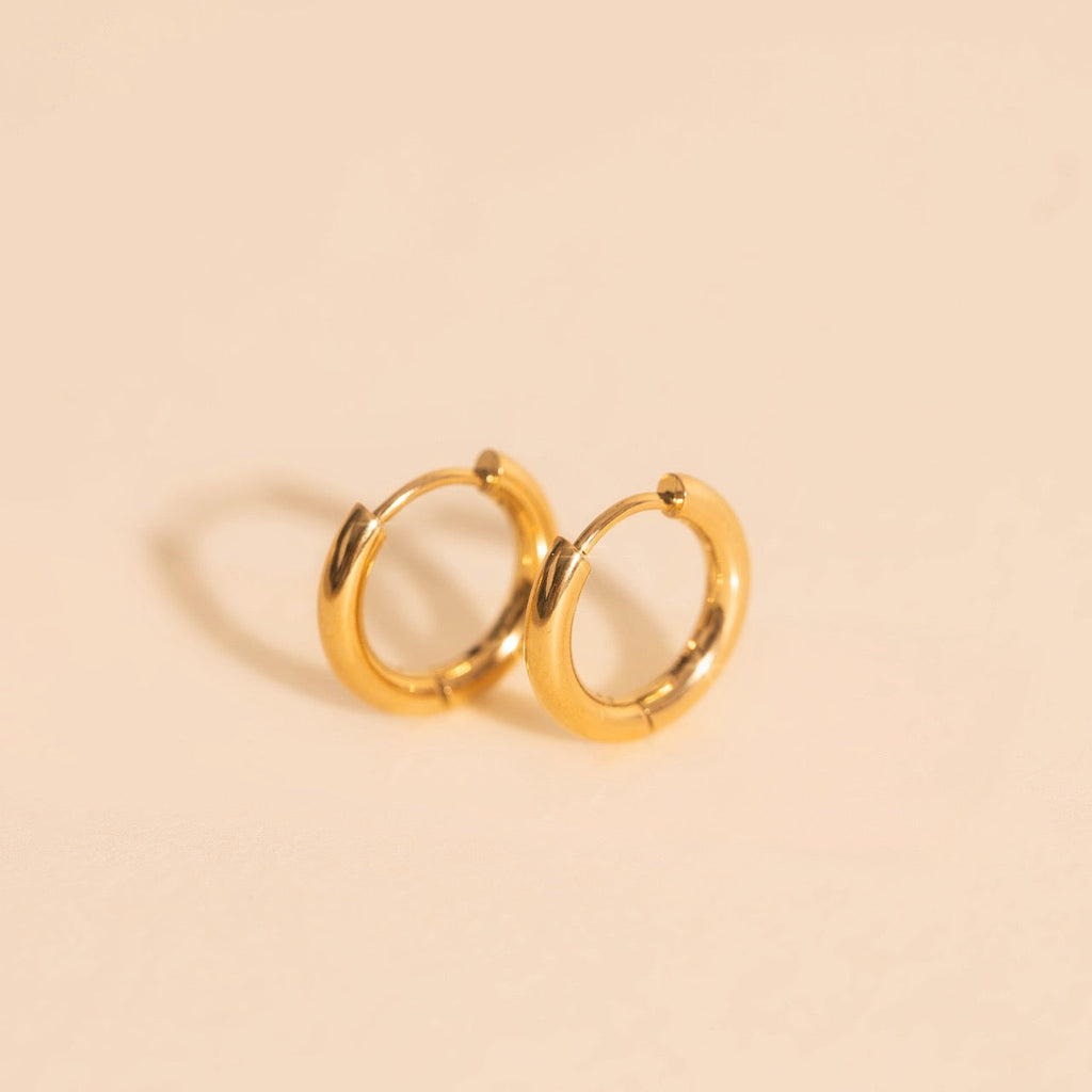 Titanium Mini Rounded Huggie Hoop Earrings