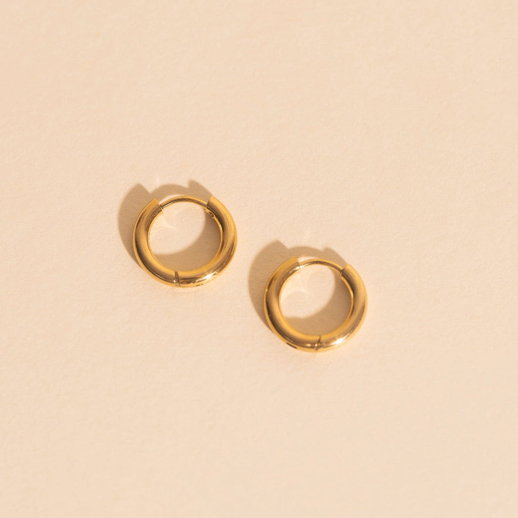 Titanium Mini Rounded Huggie Hoop Earrings